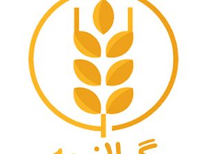 فروش برنج هاشمی درجه یک محصول ۱۴۰۱