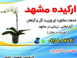 خدمات گل و گیاهان آپارتمانی و زینتی در مشهد
