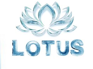 Lotus shop