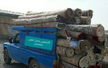 خدمات قالیشویی ومبل شویی محمدیان درمشهد
