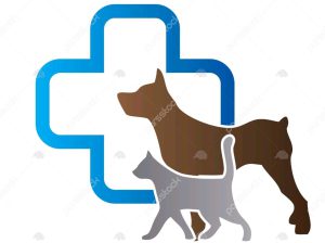 خدمات دامپزشکی سگ