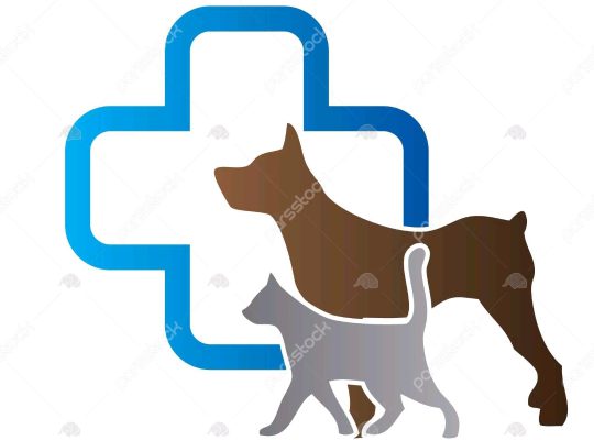 خدمات دامپزشکی سگ