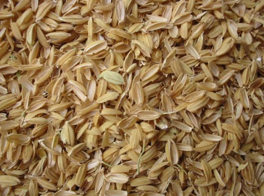 تامین کننده سبوس برنج husk rice