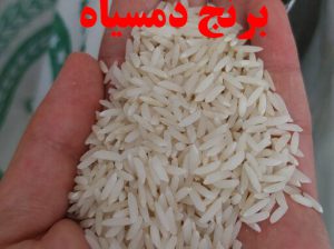 عاملیت پخش و فروش برنج شمال – تالش – فریبرز قنبری