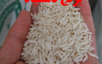 عاملیت پخش و فروش برنج شمال – تالش – فریبرز قنبری