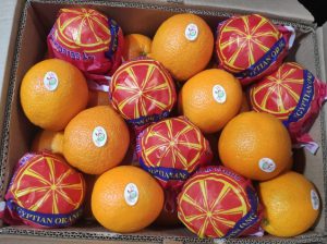 تامین کوتاژ صادرات سیب و پرتقال