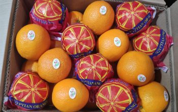 تامین کوتاژ صادرات سیب و پرتقال