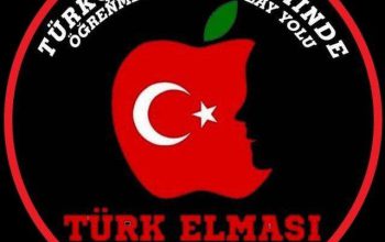 تدریس حرفه ای و تخصصی زبان ترکی استانبولی و تومر