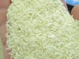 فروش انواع برنج چمپای محلی میداوود رامهرمز