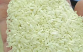 فروش انواع برنج چمپای محلی میداوود رامهرمز