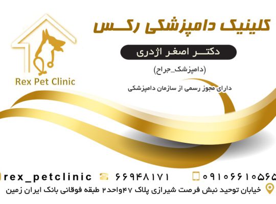 بهترین کلینیک دامپزشکی در توحید تهران
