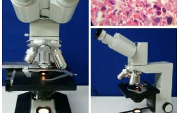 میکروسکوپ دوچشمی بیولوژی RME5