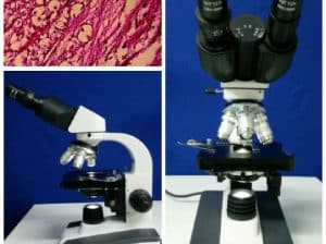 میکروسکوپ بیولوژی دانشجویی چینی