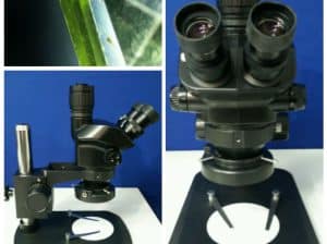 استریو میکروسکوپ لوپ سه چشمی