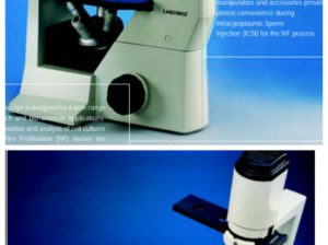 میکروسکوپ دو چشمی اینورت فلورسنت مدل TCM400